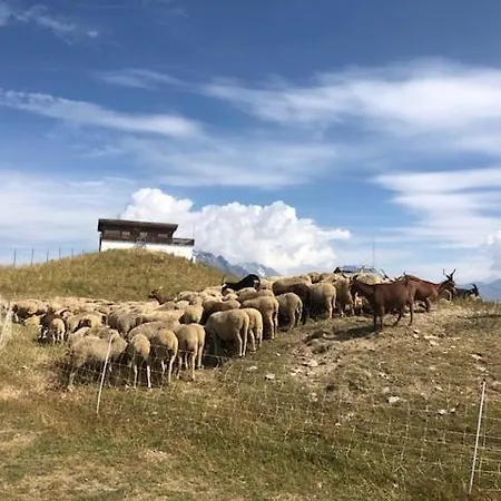 Appartamento Le Bouquetin - Immeuble Le Pluton