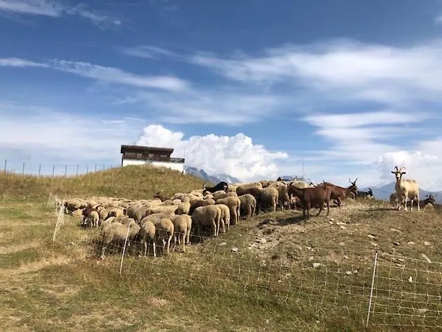 Appartamento Le Bouquetin - Immeuble Le Pluton