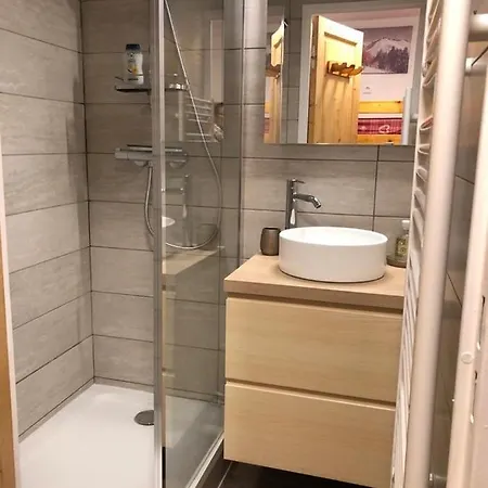 Studio Le Bouquetin - Centre Station Avec Parking Et Wifi Apartment *