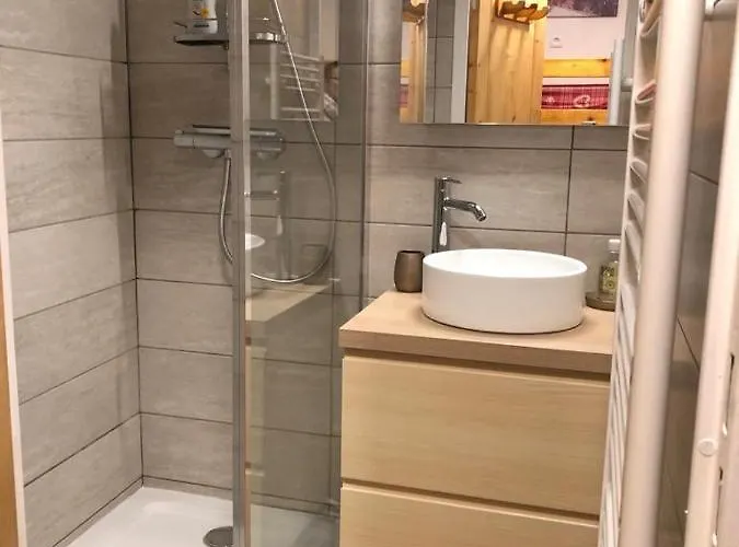 Le Bouquetin - Immeuble Le Pluton Apartment *